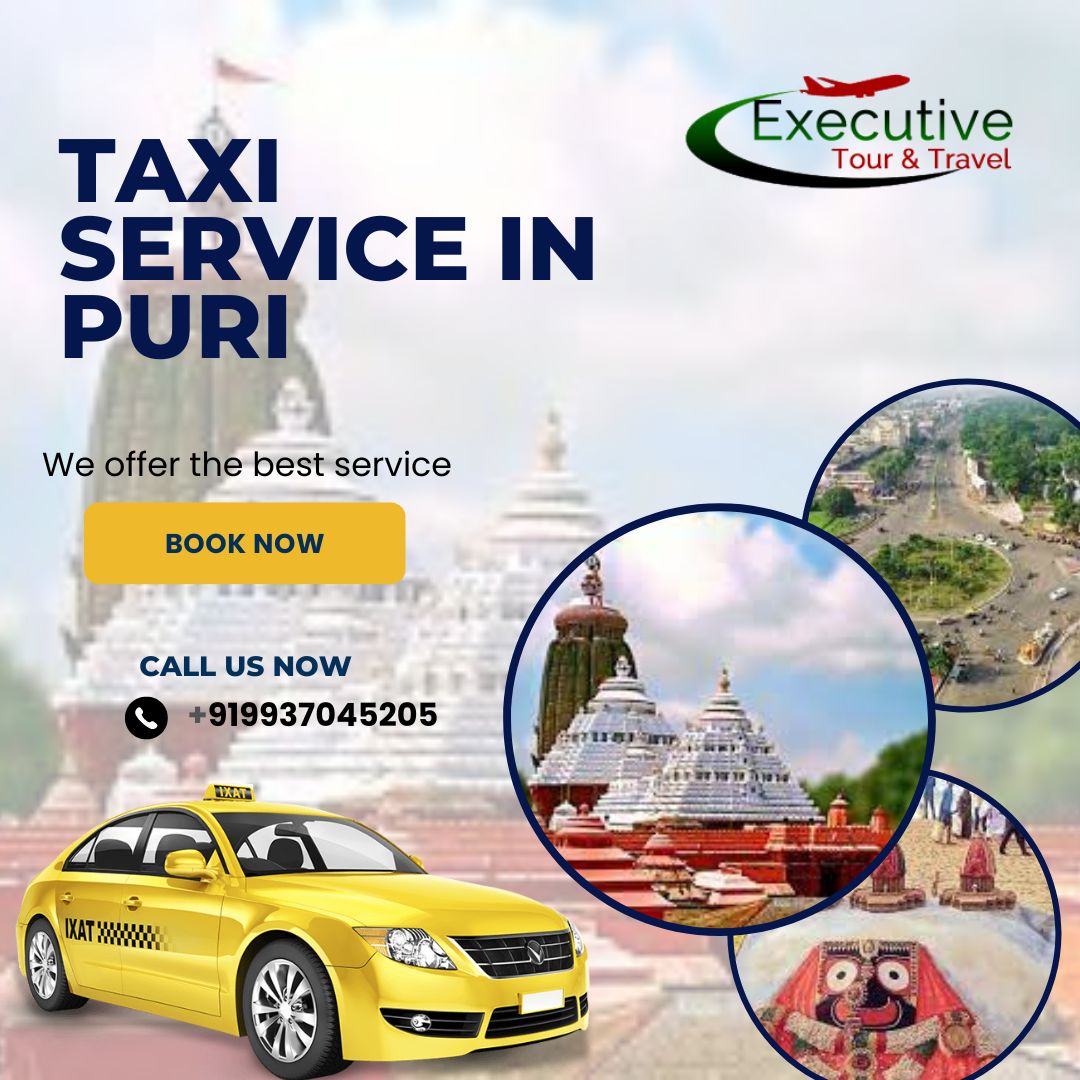 executive travel taxi